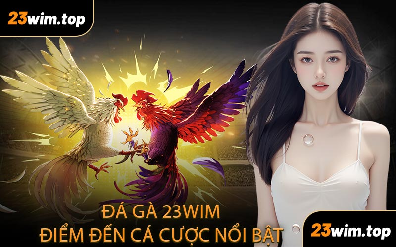 Đá gà 23WIM Điểm đến cá cược nổi bật 