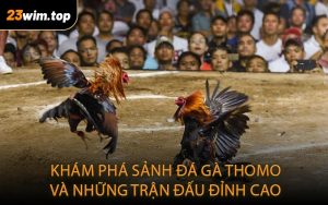 Khám phá sảnh đá gà thomo và những trận đấu đỉnh cao