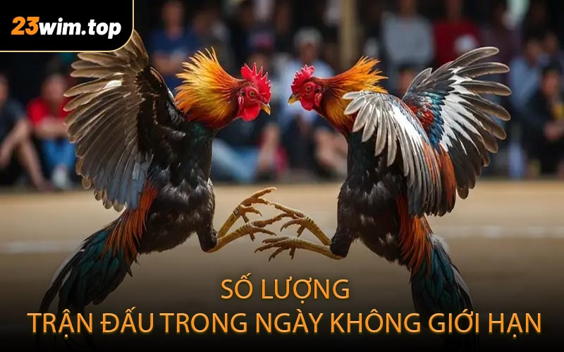Số lượng trận đấu trong ngày không giới hạn
